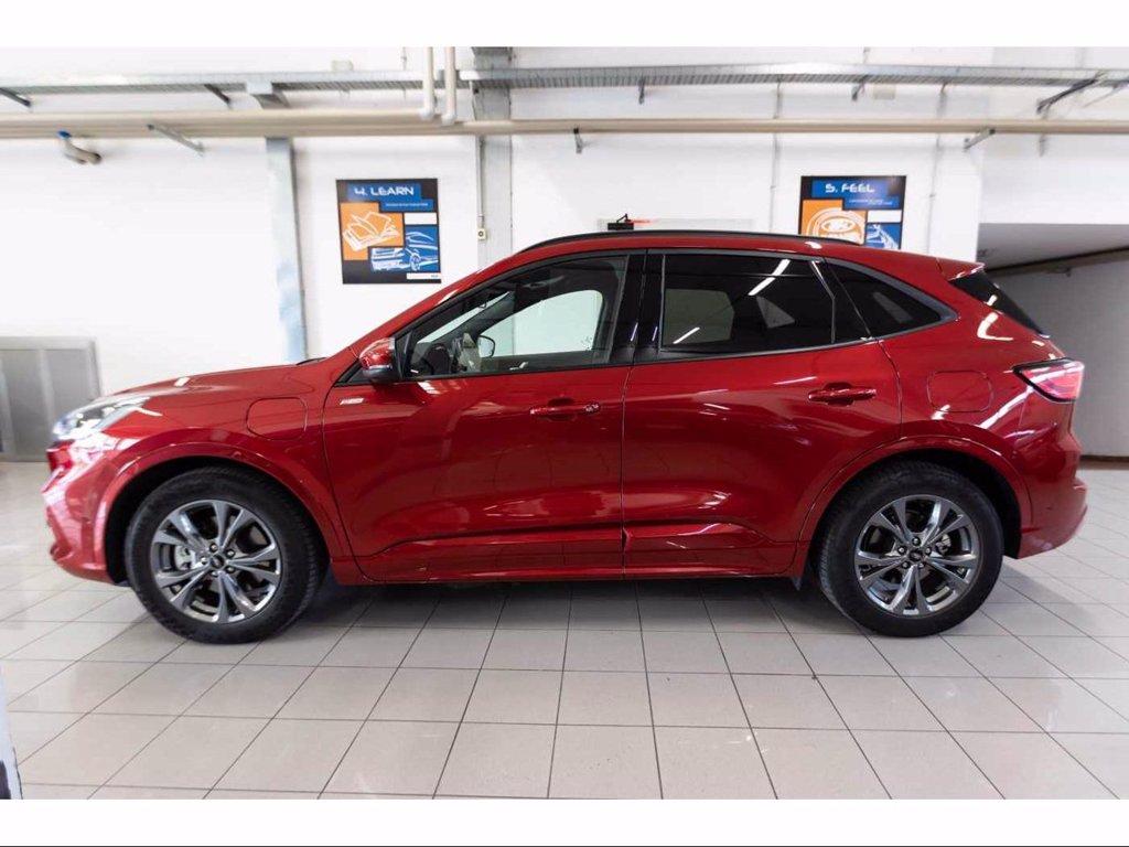 FORD Kuga 2.5 Plug In Hybrid 225 CV CVT 2WD ST-Line X del 2020