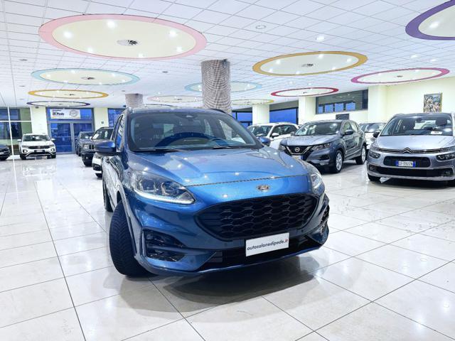 FORD Kuga 2.0 EcoBlue 120 CV aut. 2WD ST-Line