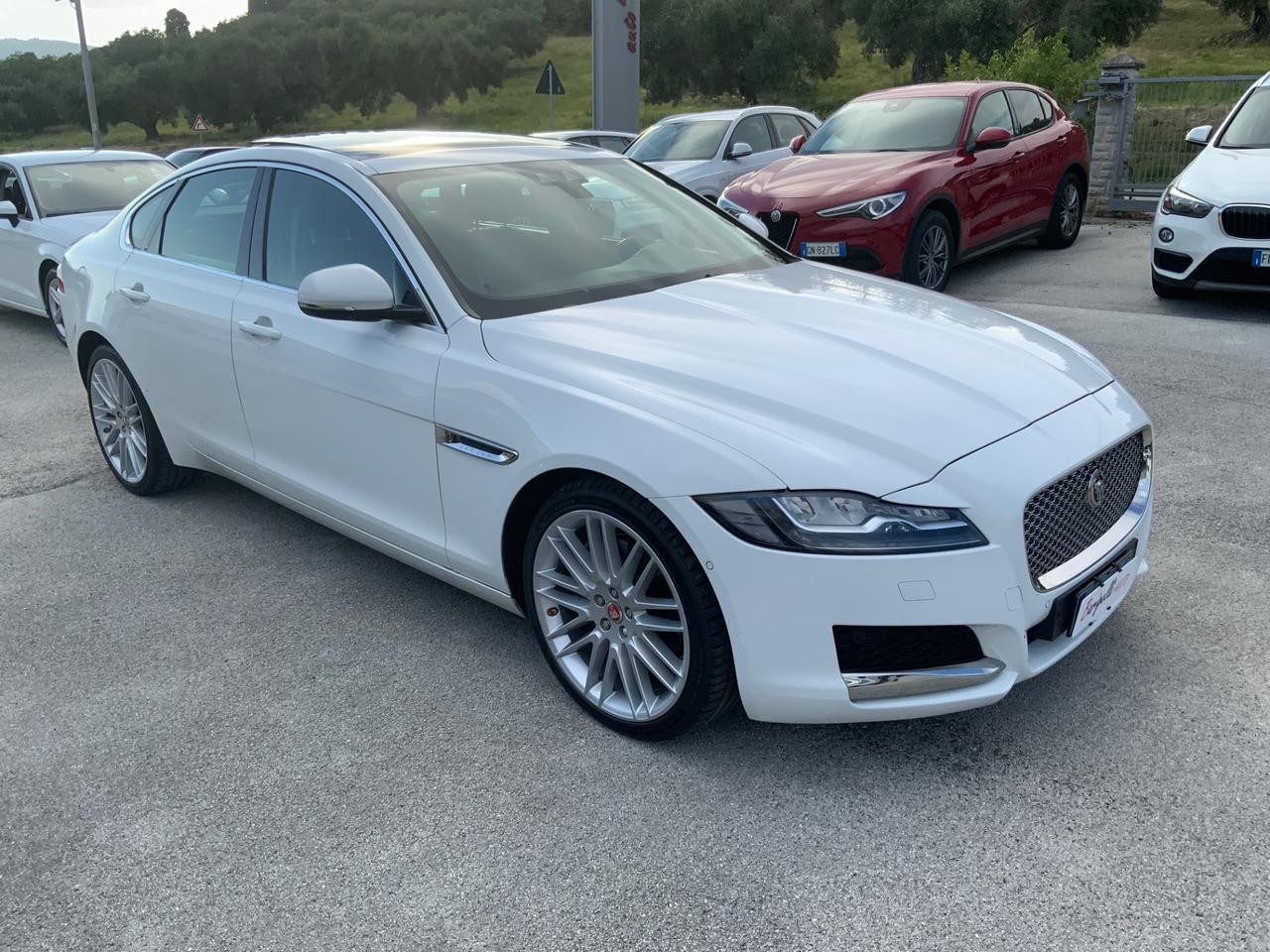 Jaguar XF 3.0 D V6 300 CV aut. Portfolio TETTO.FULL OPT
