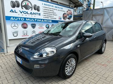 Fiat Punto 1.2 8V 5 porte Street - NeoPatentati