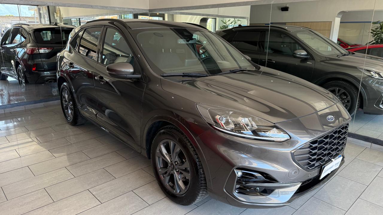 Ford Kuga 2.0 EcoBlue 120CV ST LINE