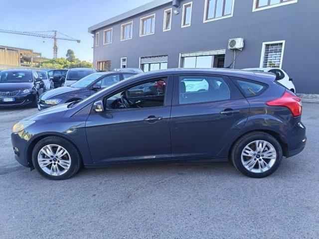 FORD Focus 1.6 TDCi 115 CV