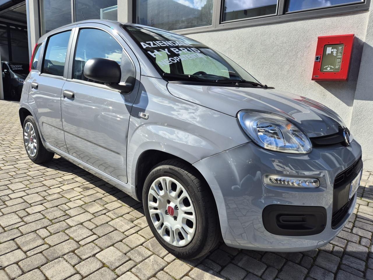 Fiat Panda 1.0 FireFly S&S Hybrid OK NEOPATENTATO