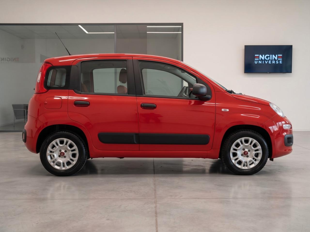 Fiat Panda 1.2 Lounge S&S (My19) - NEOPATENTATI