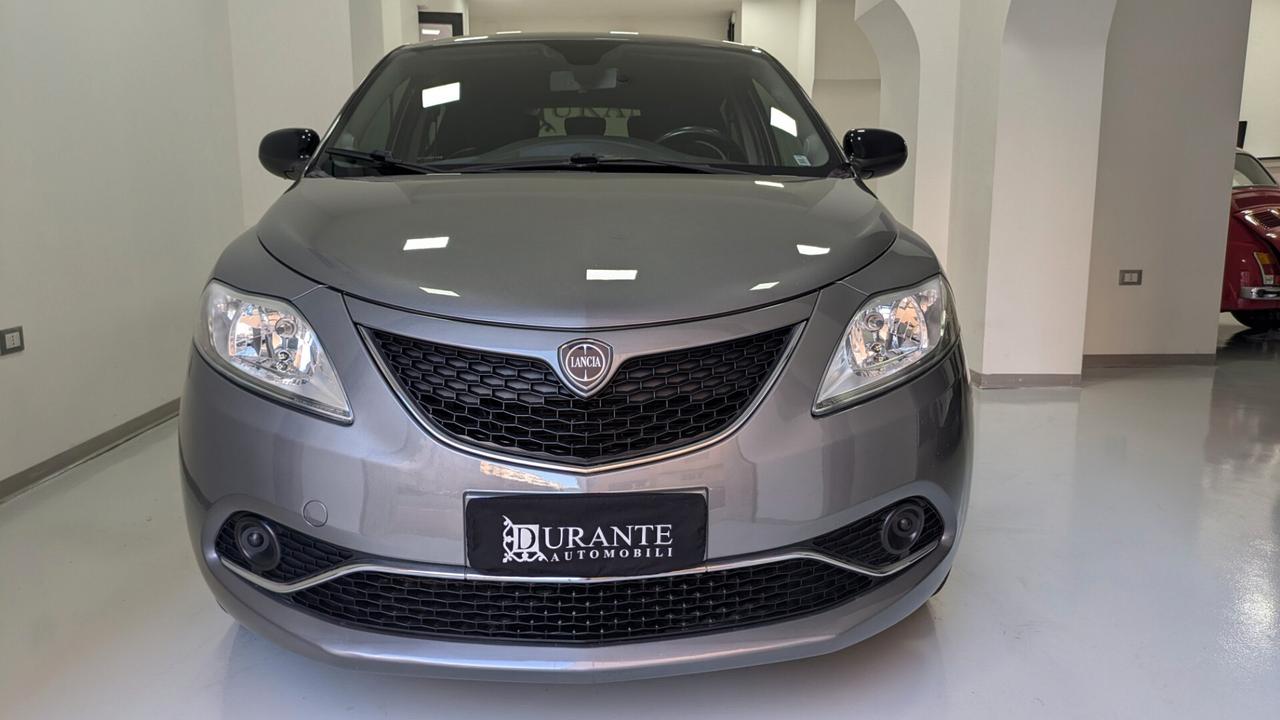 Lancia Ypsilon 1.3 MJT 16V 95 CV 5 porte S&S Platinum