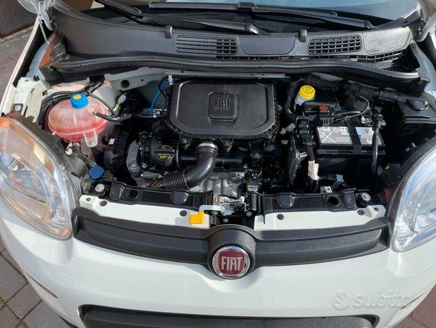 Fiat Panda 1.0 FireFly S&S Hybrid GARANZIA FIAT