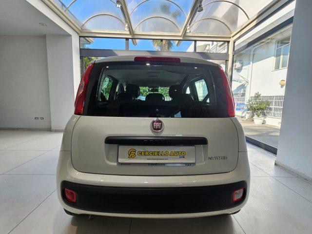 FIAT Panda 1.0 FireFly S&S Hybrid da ?119,00 mensili