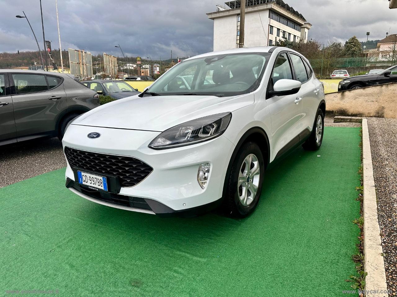 FORD Kuga 1.5 EcoBlue 120 CV 2WD Connect - 2020