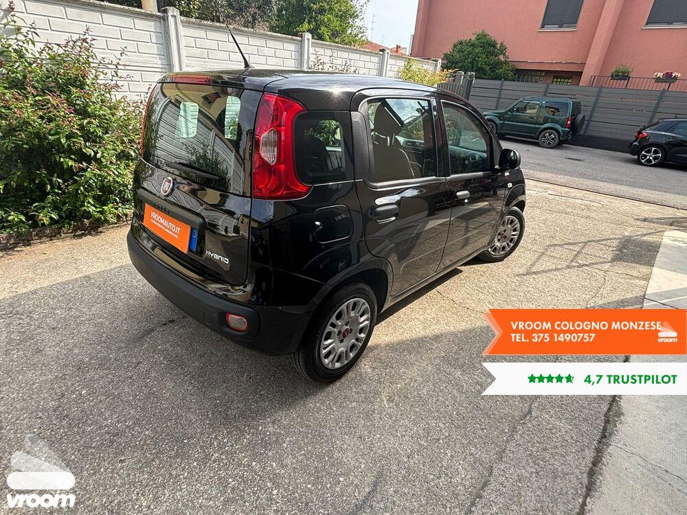 FIAT Panda 3ª serie Panda 1.0 FireFly S&S Hybrid