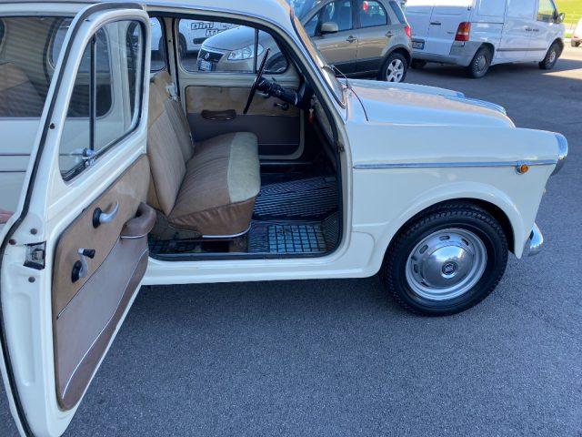 FIAT 1100 1100 BERLINA LUSSO coda di rondine