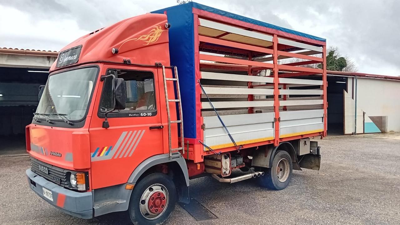 Iveco Seleziona Iveco turbo zeta 50-10-cassone con centina -1984