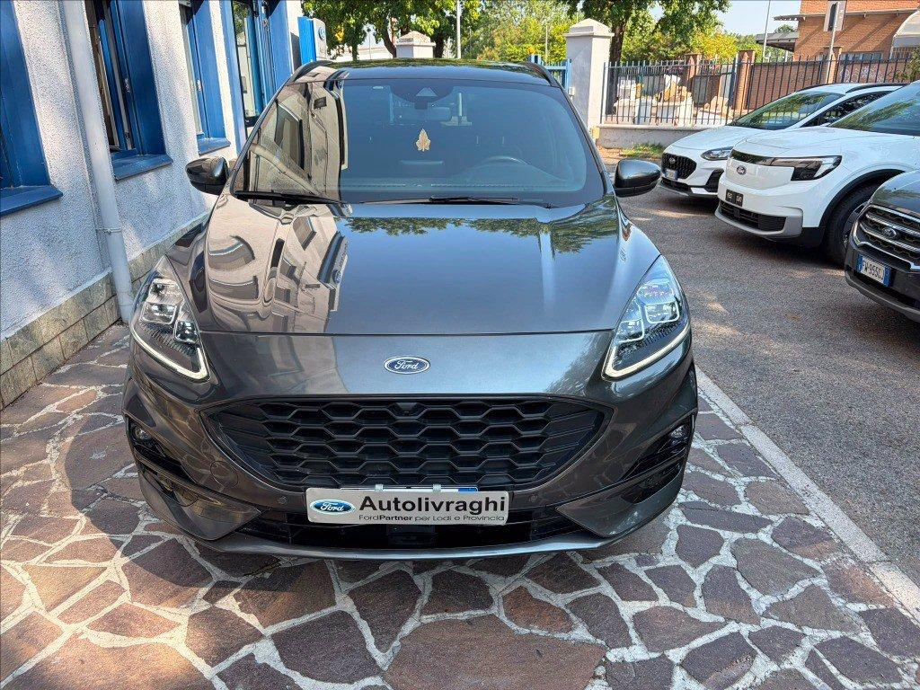 FORD Kuga 1.5 ecoblue ST-Line X 2wd 120cv auto del 2023