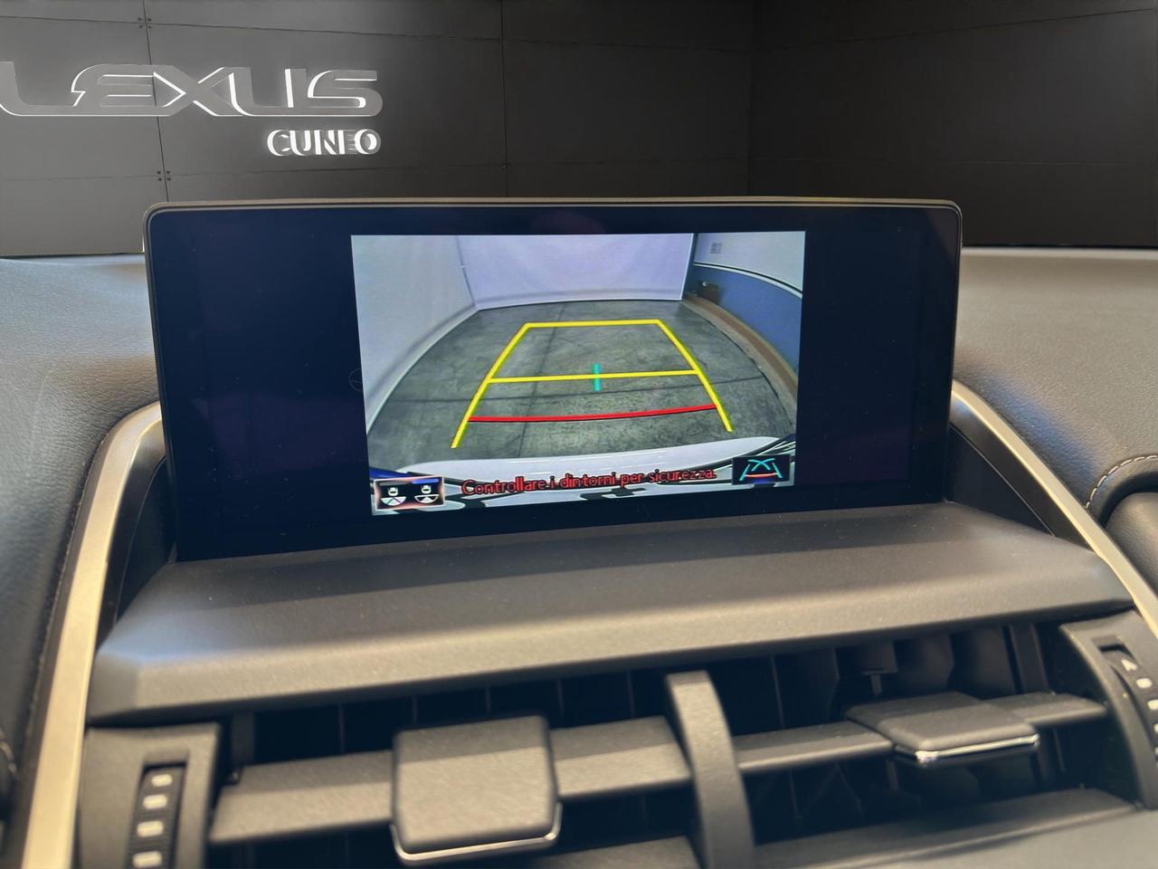 Lexus NX 300h 2.5 F Sport 4wd cvt