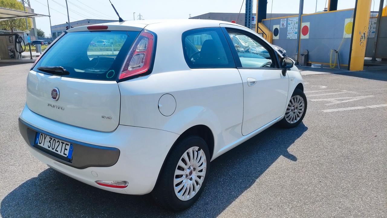 Fiat Punto Evo 1.2 3 porte Dynamic NEOPATENTATI - 2010