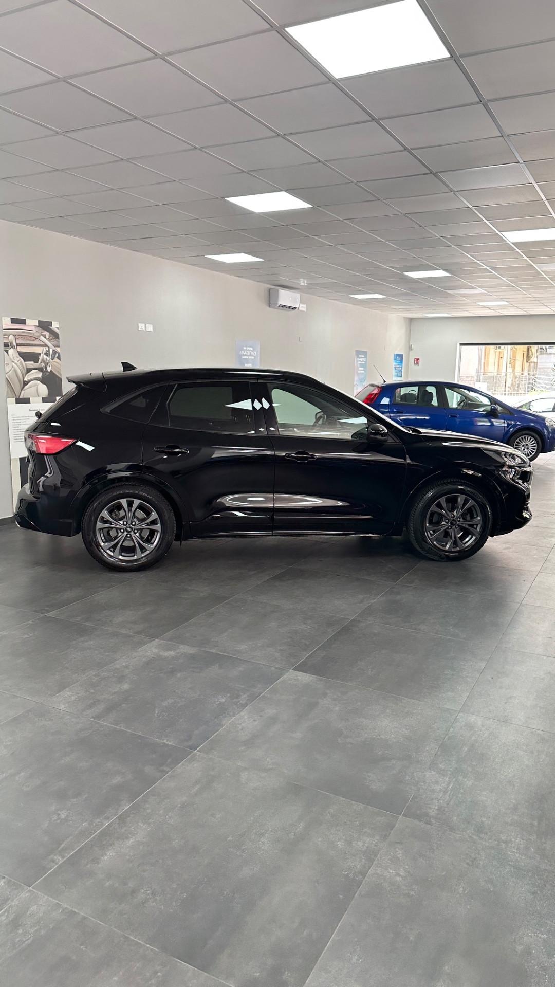 Ford Kuga 1.5 EcoBlue 120 CV 2WD ST-Line X