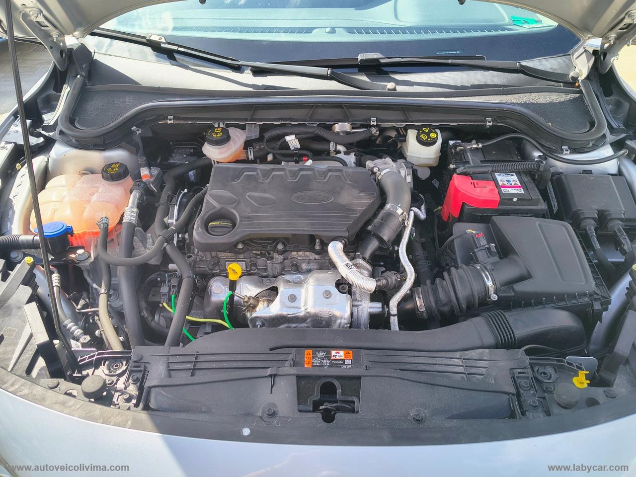 FORD Focus 1.5 EcoBlue 120CV SW Business