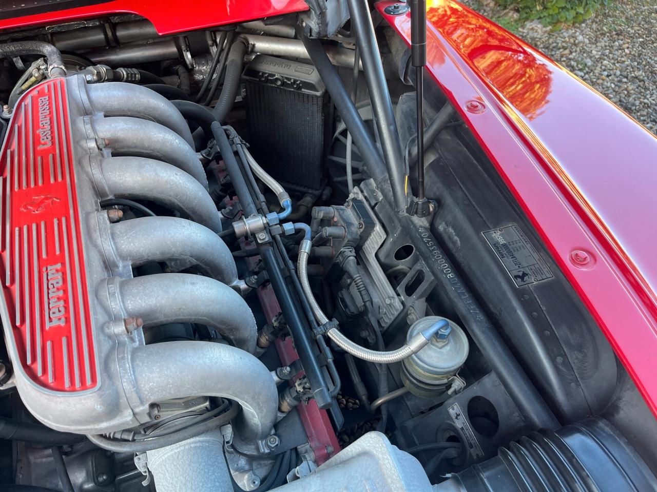 Ferrari 512 TR cat