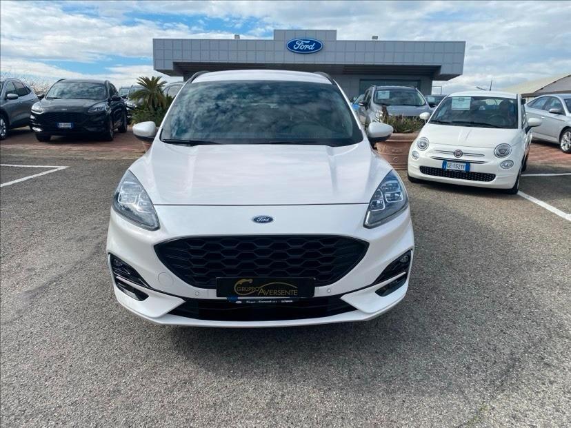 Ford Kuga 1.5 EcoBlue 120 CV aut. 2WD ST-Line X