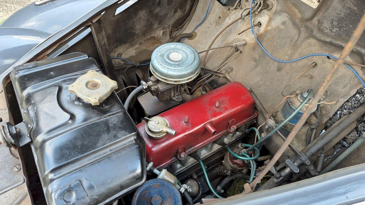 FIAT 1100 E “Musone” Camioncino – 1952