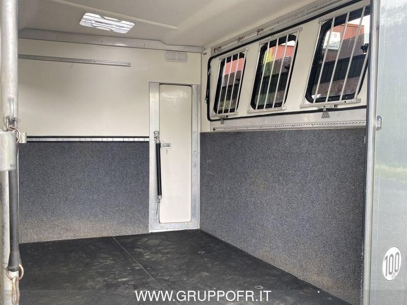 Trailer Steinsberger Steinsberger TRASPORTO CAVALLI