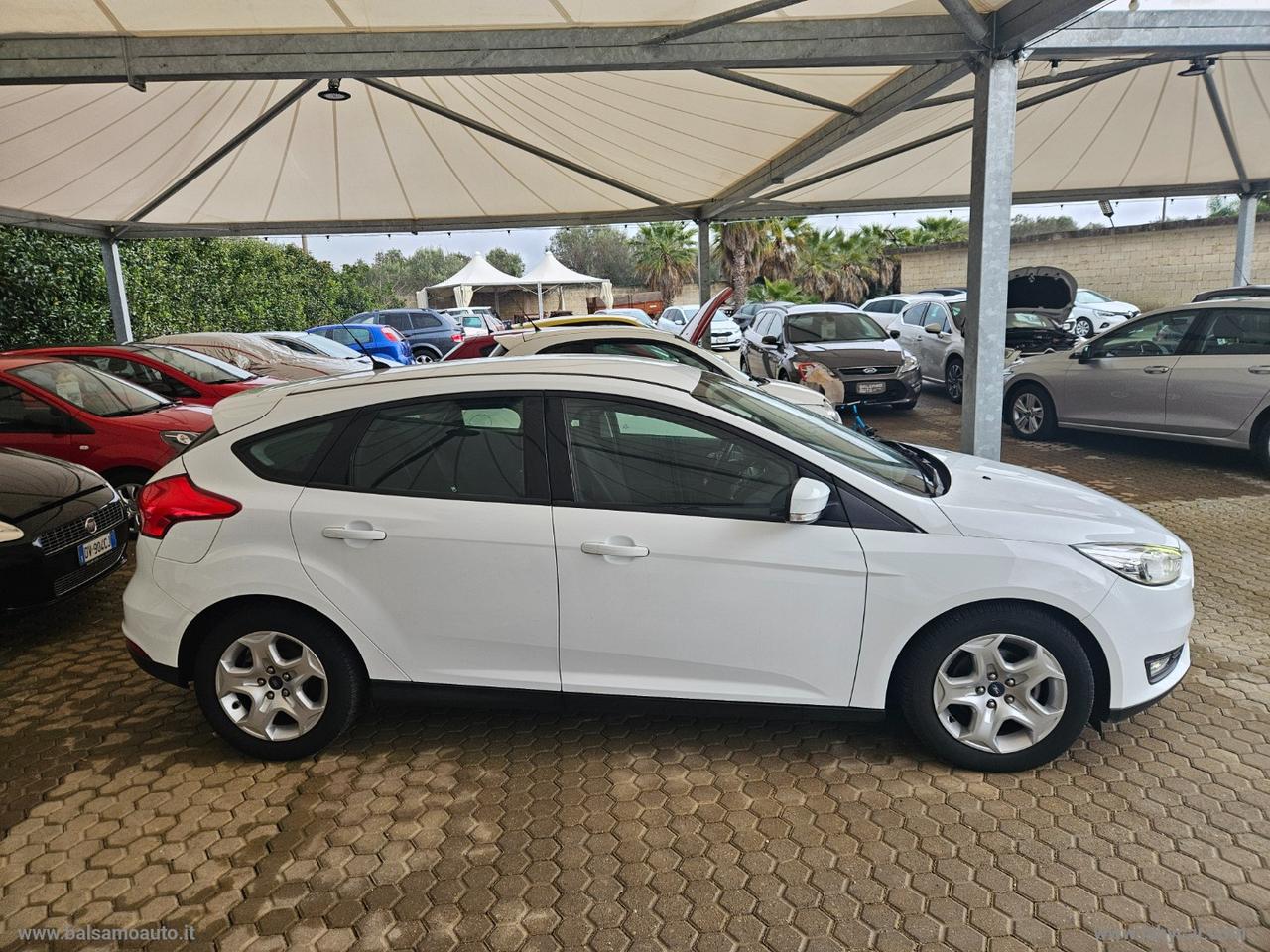 FORD Focus 1.0 EcoBoost 100 CV S&S Business