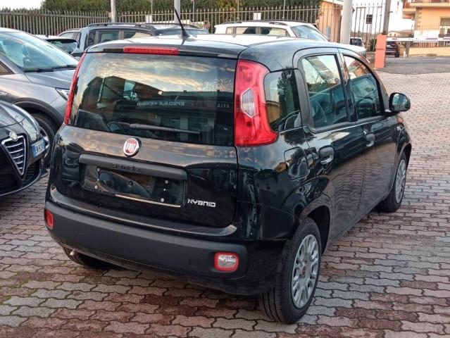 Fiat Panda III 1.0 70 CV HYBRID - TUA DA  190 AL MESE **LEGGI NOTE**