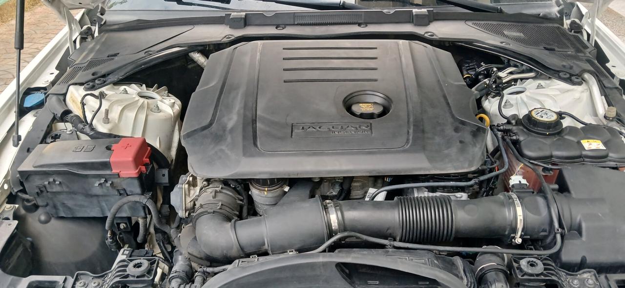 Jaguar XF 2.0 D 180 cv automatica look sportivo