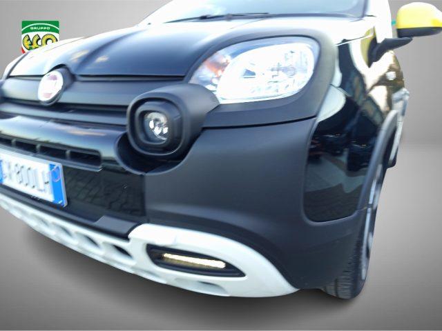FIAT Panda 1.0 FireFly S&S Hybrid Pandina