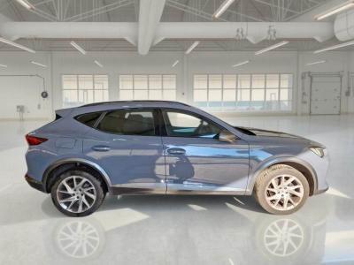 Cupra Formentor 2.0 tdi 4drive 150cv dsg