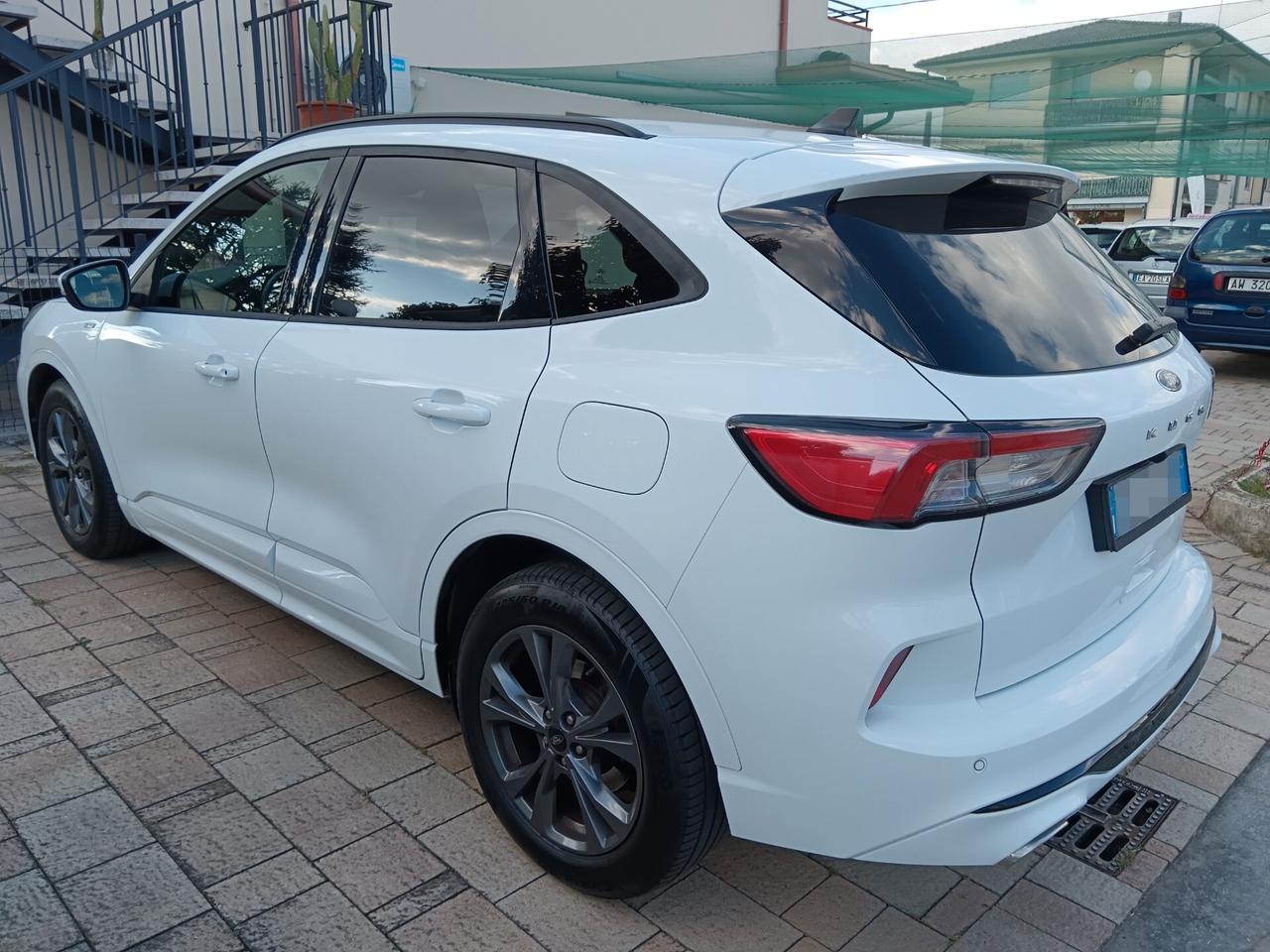 Ford Kuga 1.5 EcoBlue 120 CV aut.ST-Line