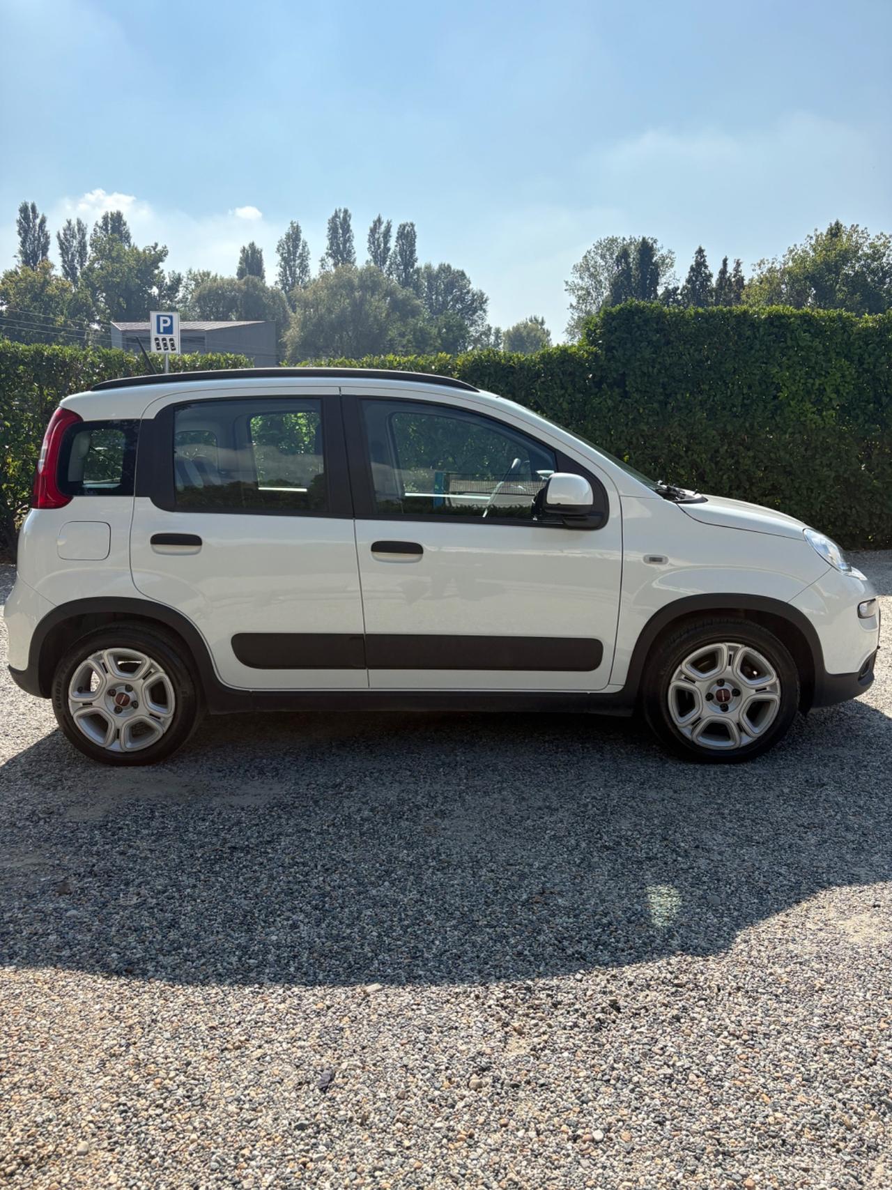 Fiat Panda 1.0 FireFly S&S Hybrid