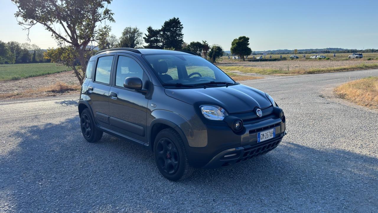 Fiat Panda Cross 1.0 FireFly S&S Hybrid