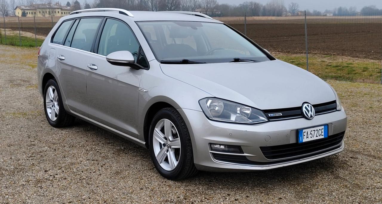 Volkswagen Golf Variant 1.4 TGI Executive 4 Free BlueMotion