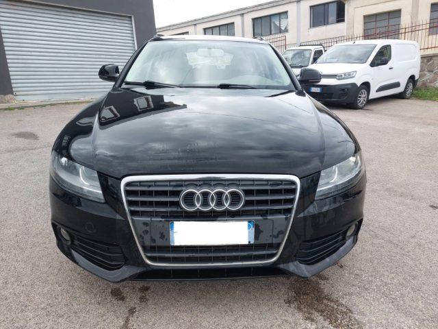 AUDI A4 Avant 2.0 TDI 143 CV F.AP. multitronic