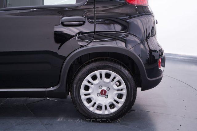 FIAT New Panda 1.0 FireFly S&S Hybrid Pack City