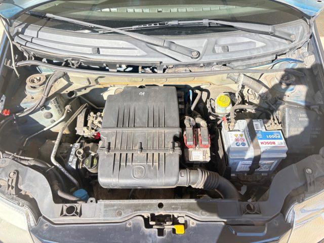 FIAT Panda 1.2 Dynamic OK NEOPATENTATI PRONTA CONSEGNA