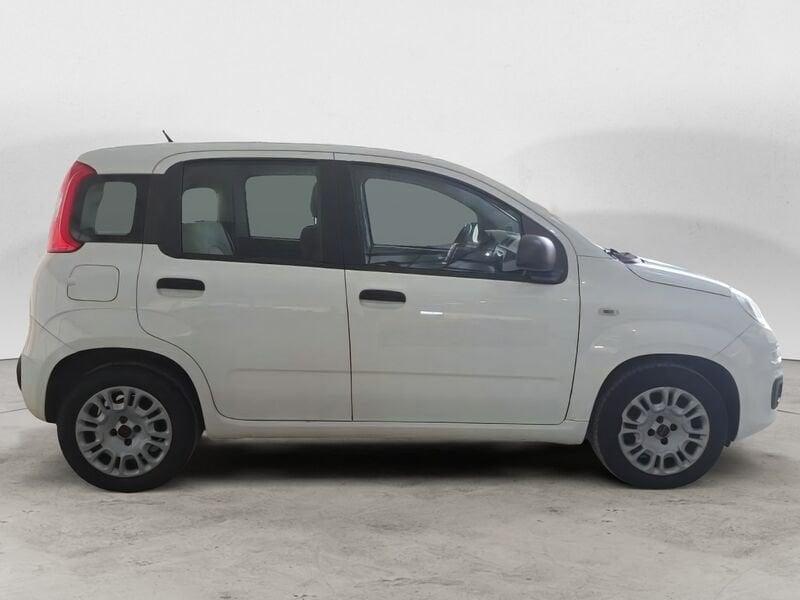 FIAT Panda 1.3 MJT 95 CV FENDINEBBIA/COMANDI AL VOLANTE (041)