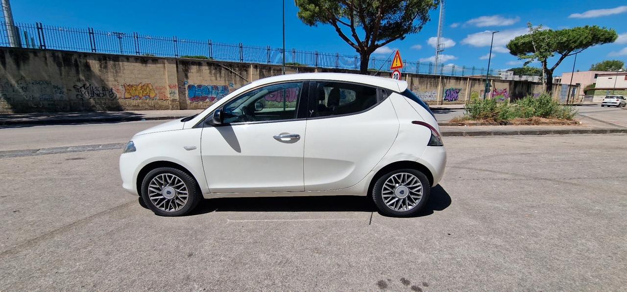 Lancia Ypsilon 1.3 MJT 16V 95 CV 5 porte S&S Platinum