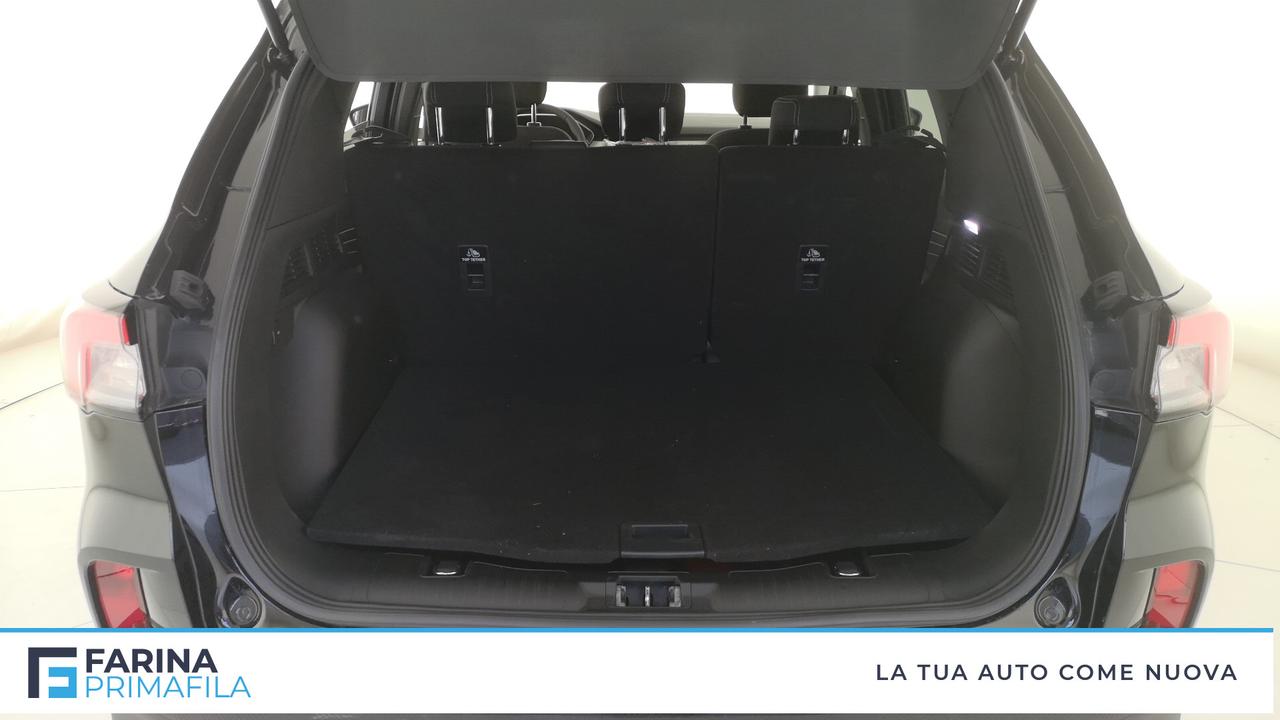 FORD Kuga III 2020 - Kuga 1.5 ecoblue Titanium Business 2wd 120cv