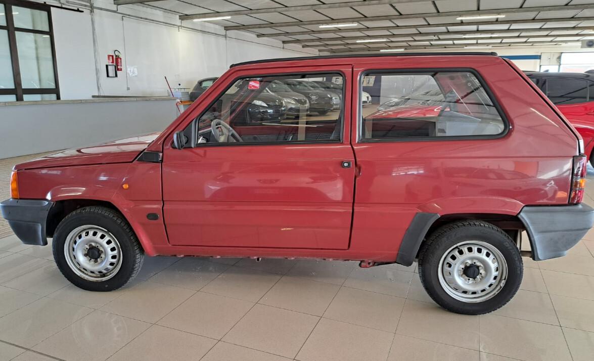 Fiat Panda 1100 i.e. cat Young