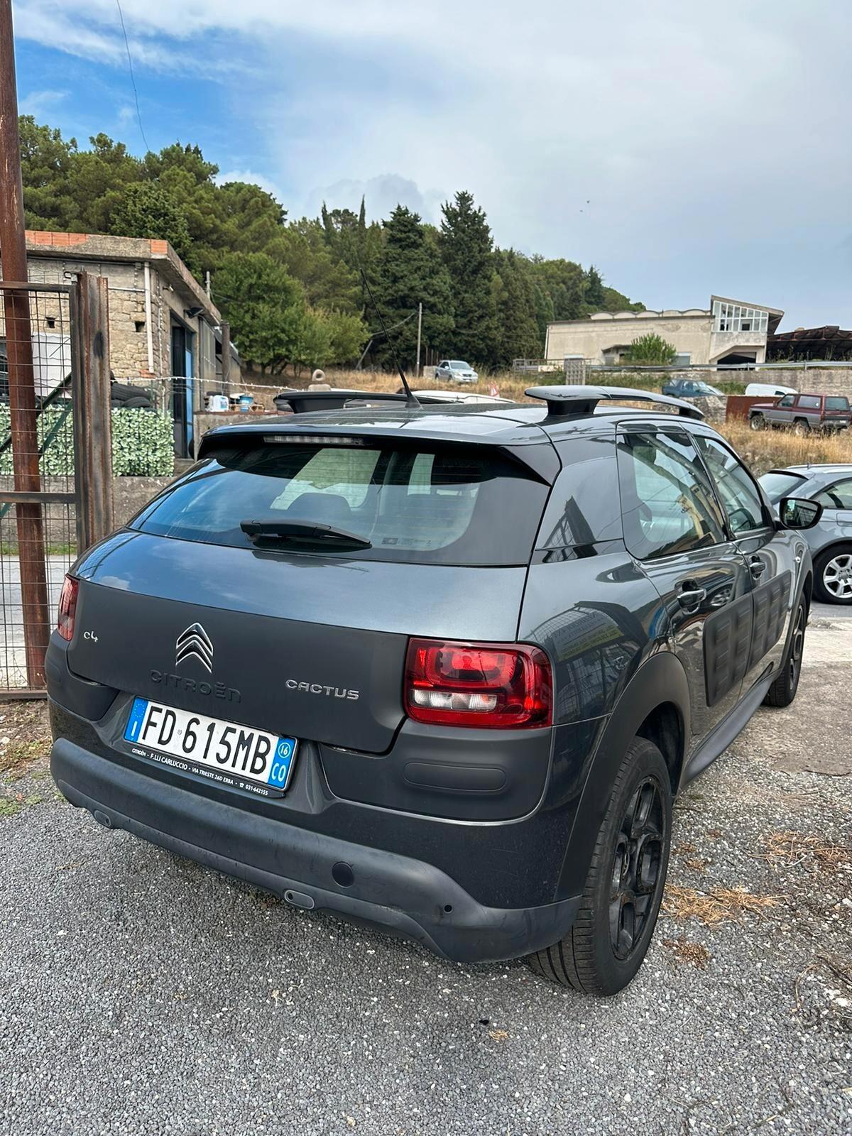 Citroen C4 Cactus C4 Cactus