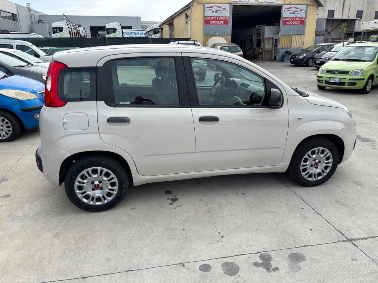 Fiat Panda 1.2 Easy neopatentati