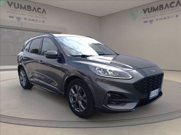FORD Kuga 1.5 ecoblue ST-Line X 2wd 120cv auto del 2020