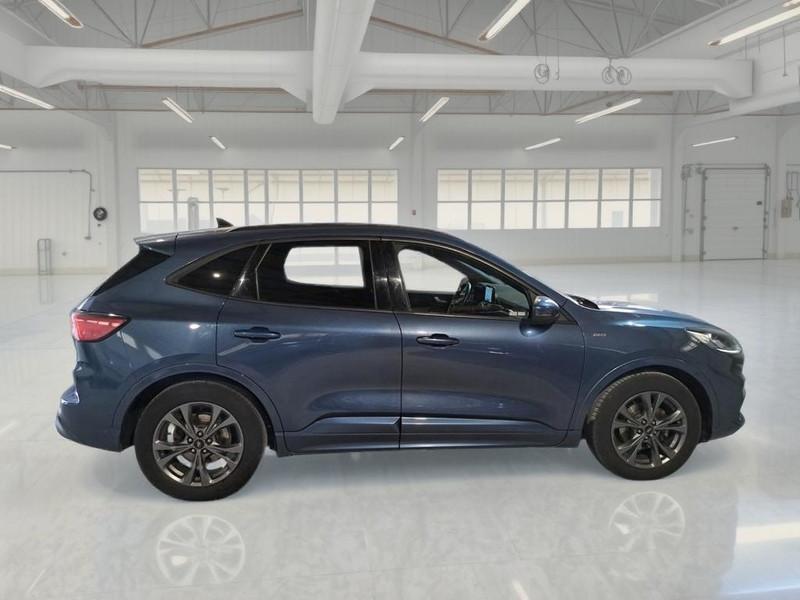 FORD KUGA 1.5 EcoBlue 120CV 2WD ST-Line X