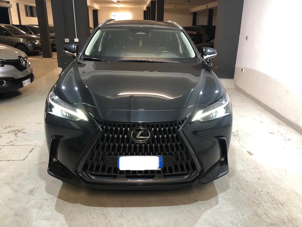 Lexus NX 300h NX Plug-in 4WD Luxury