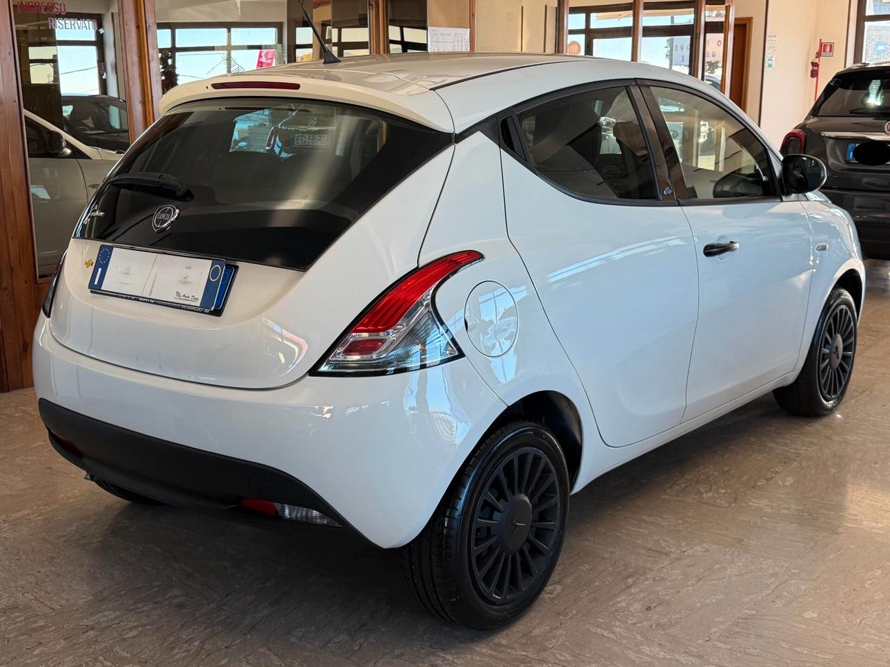 Lancia Ypsilon 1.2 69 cv. ELEFANTINO BLU