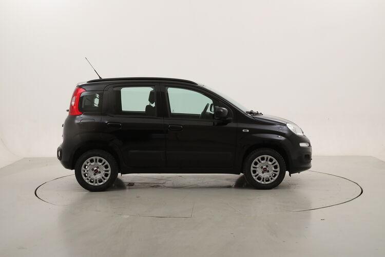 Fiat Panda Lounge BZ859296 1.2 Benzina 69CV