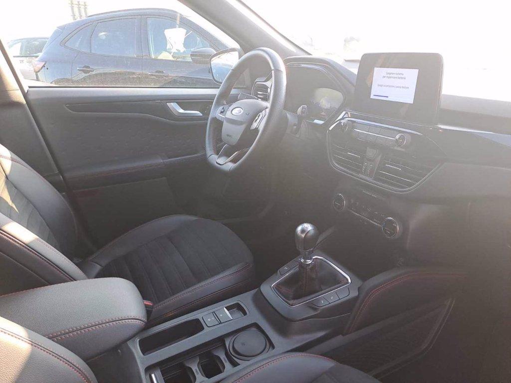 FORD Kuga 2.0 EcoBlue Hybrid 150 CV 2WD ST-Line X del 2020