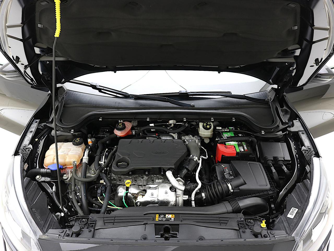 Ford Focus 1.5 EcoBlue 120 CV auto SW Business