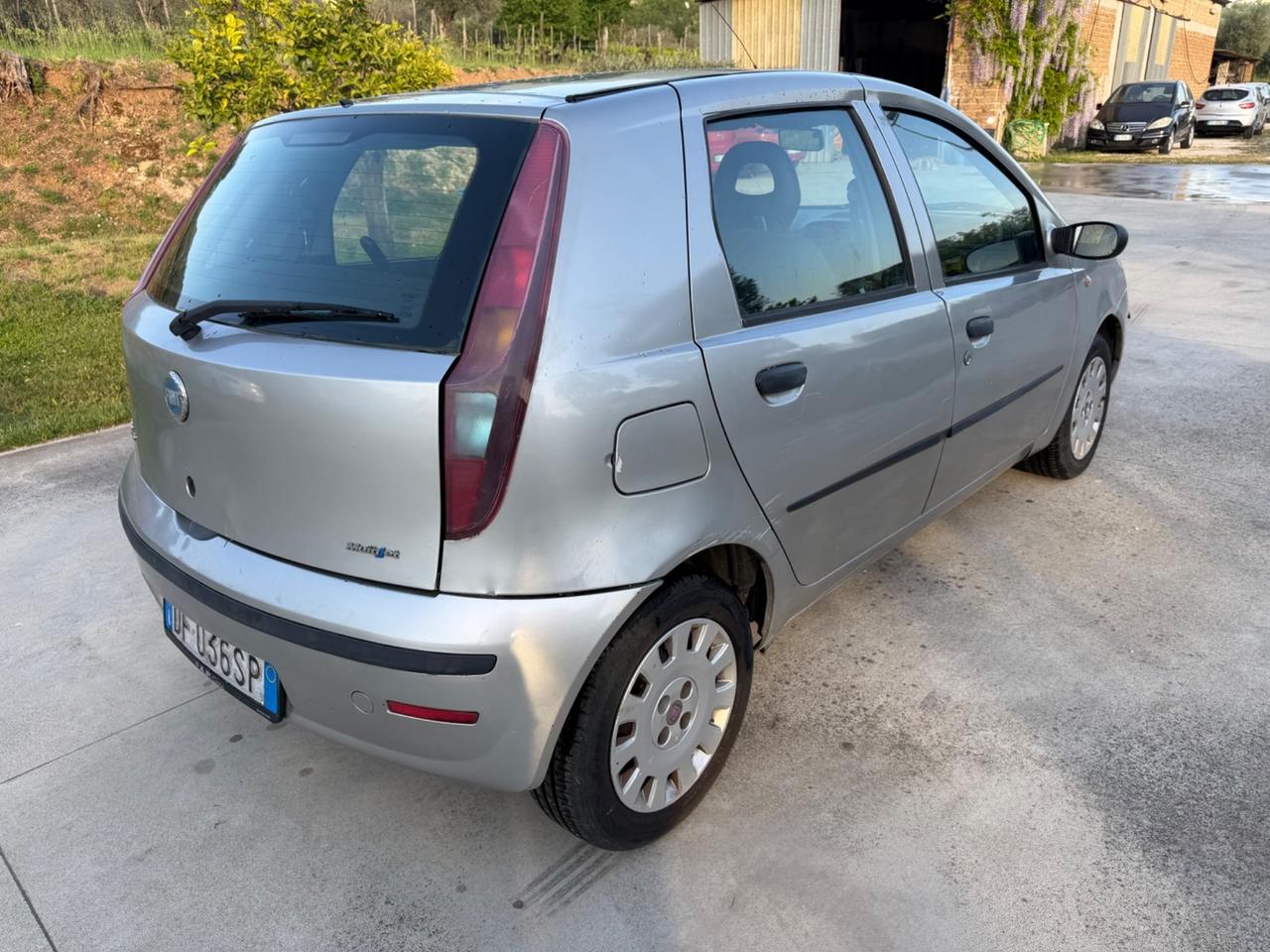Fiat Punto 1.3 Multijet 16V 5 porte Dynamic